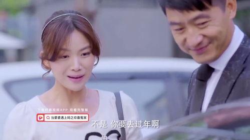 婆妈女婿在线观看,温馨家庭生活喜剧在线观看攻略 第3张 婆妈女婿在线观看,温馨家庭生活喜剧在线观看攻略 第3张